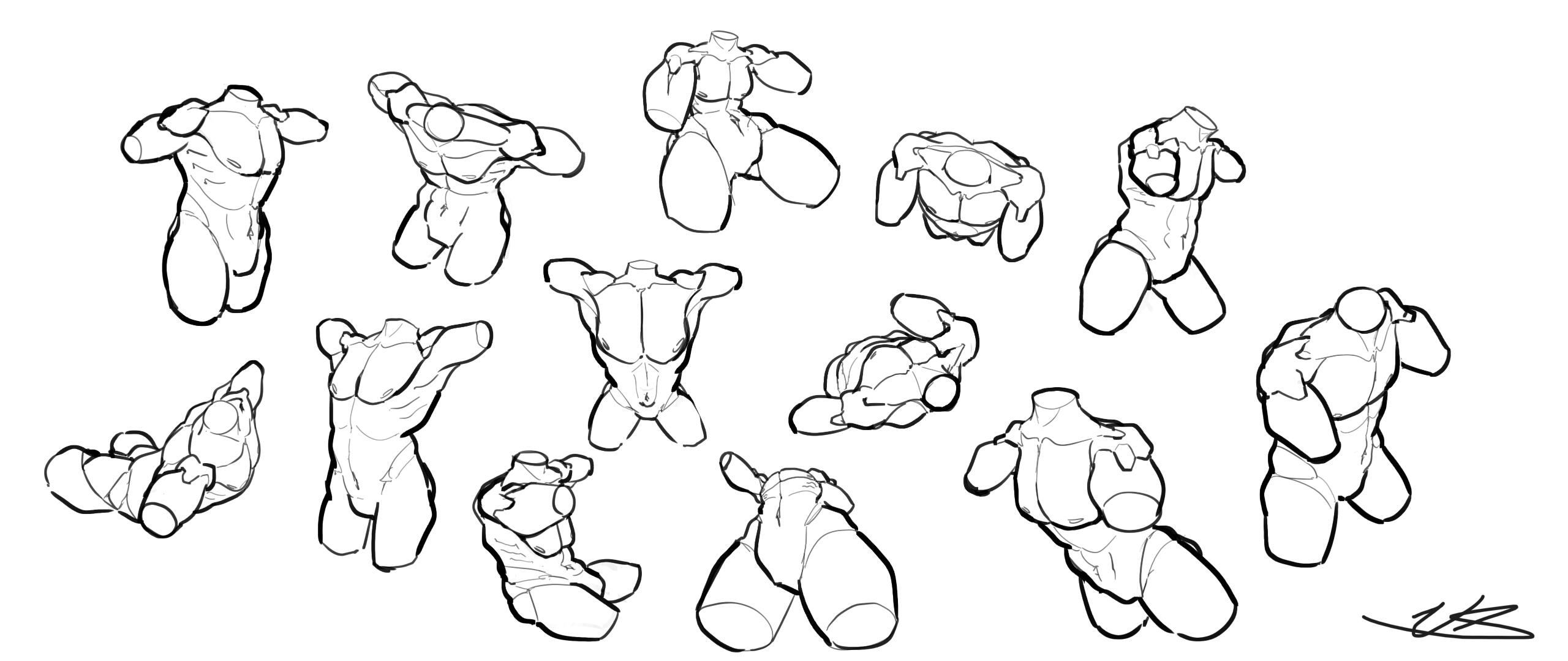 Anatomy Study. Male. 10.03.2024. "Studies performed regarding muscular, masculine, human male anatomy."