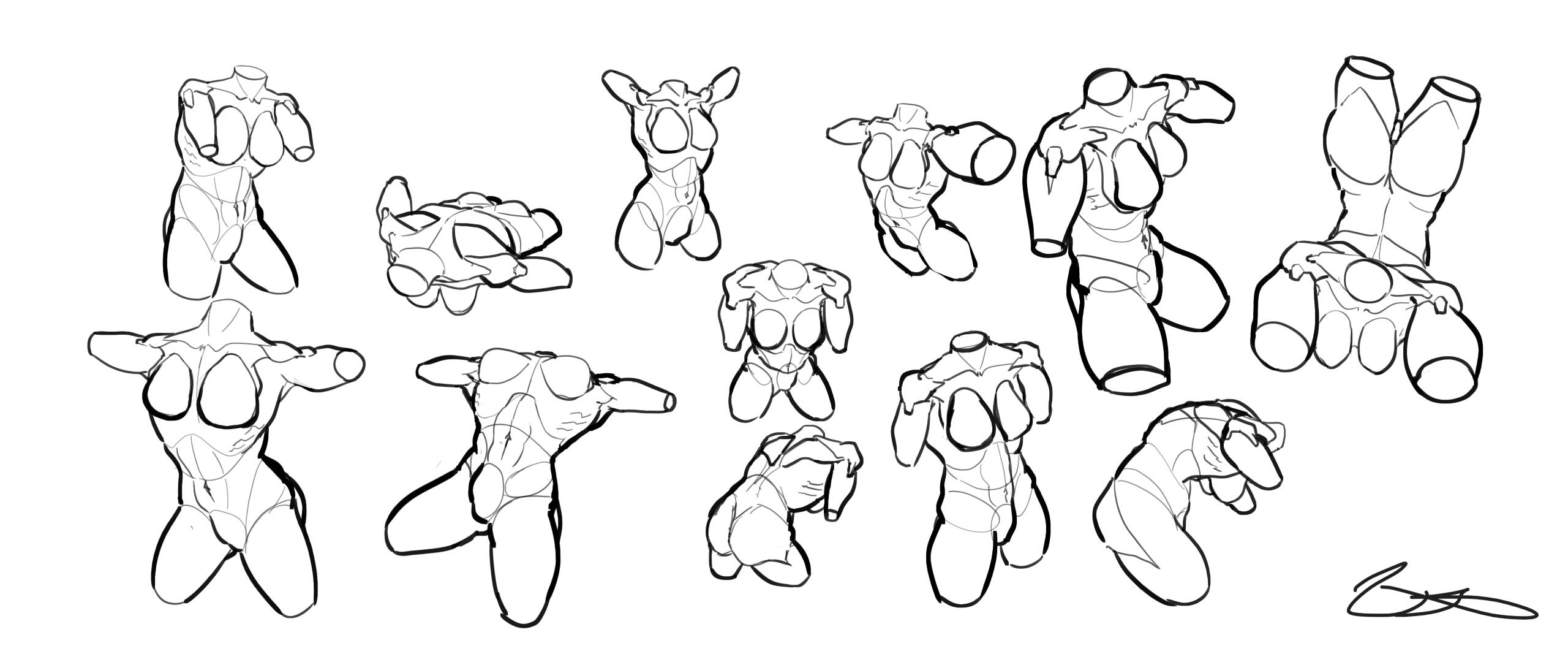 Anatomy Study. Female. 10.03.2024. "Studies performed regarding muscular, feminine, human female anatomy."